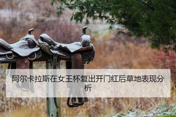 a-er-ka-la-si-zai-nv-wang-bei-fu-chu-kai-men-hong-hou-cao-di-biao-xian-fen-xi-2-408.jpg