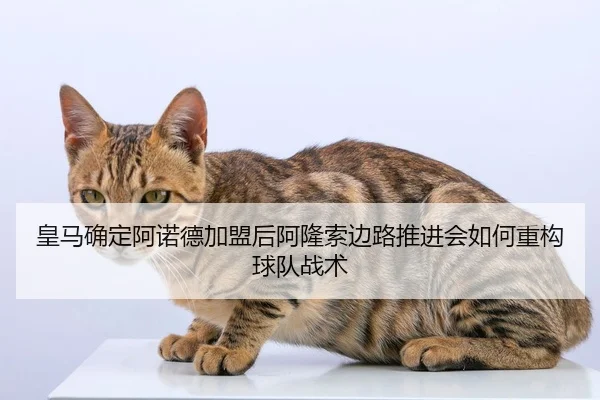 皇马确定阿诺德加盟后阿隆索边路推进会如何重构球队战术