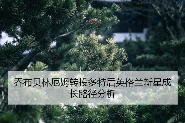 qiao-bu-bei-lin-e-mu-zhuan-tou-duo-te-hou-ying-ge-lan-xin-xing-cheng-zhang-lu-jing-fen-xi-2-519.jpg