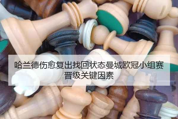 ha-lan-de-shang-yu-fu-chu-zhao-hui-zhuang-tai-man-cheng-ou-guan-xiao-zu-sai-jin-ji-guan-jian-yin-su-2-995.jpg