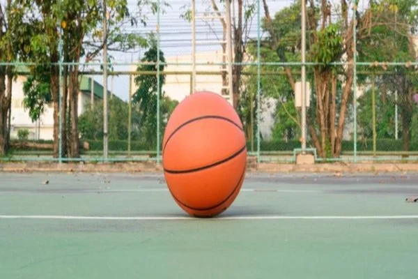 短道速滑世界杯蒙特利尔站林孝埈冲金迎韩国选手挑战看点